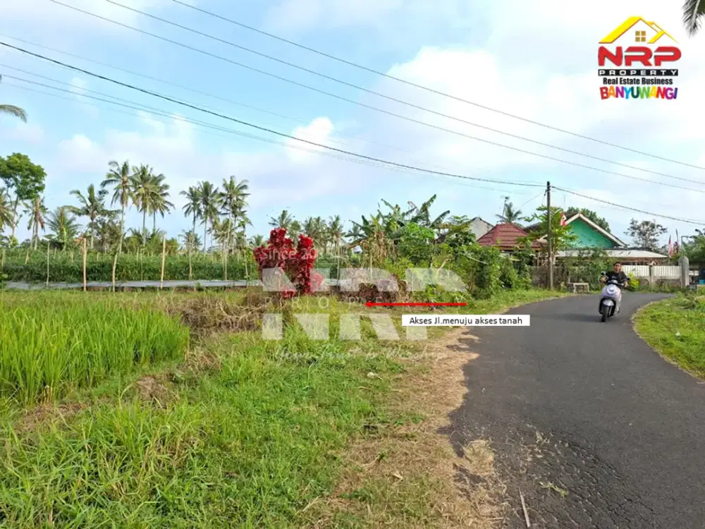 DiJUAL Tanah Kebun di Jelun  Glagah Banyuwangi