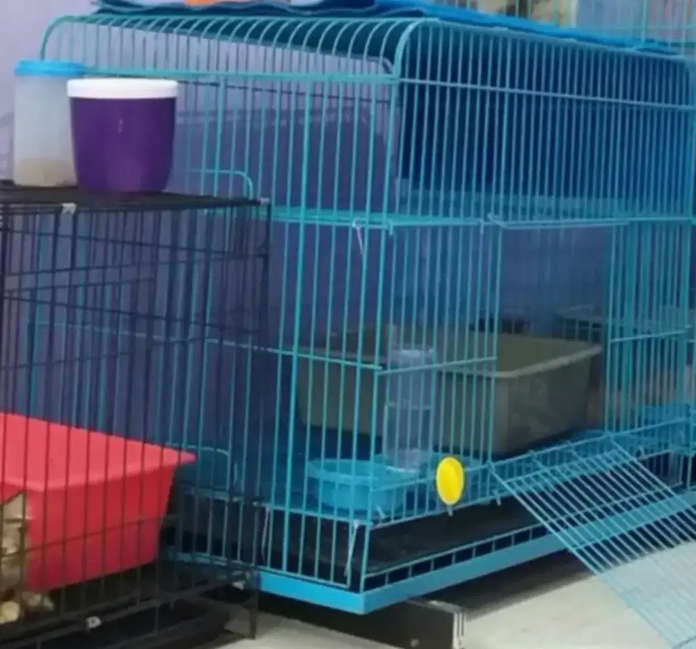 Kandang kucing 1 M