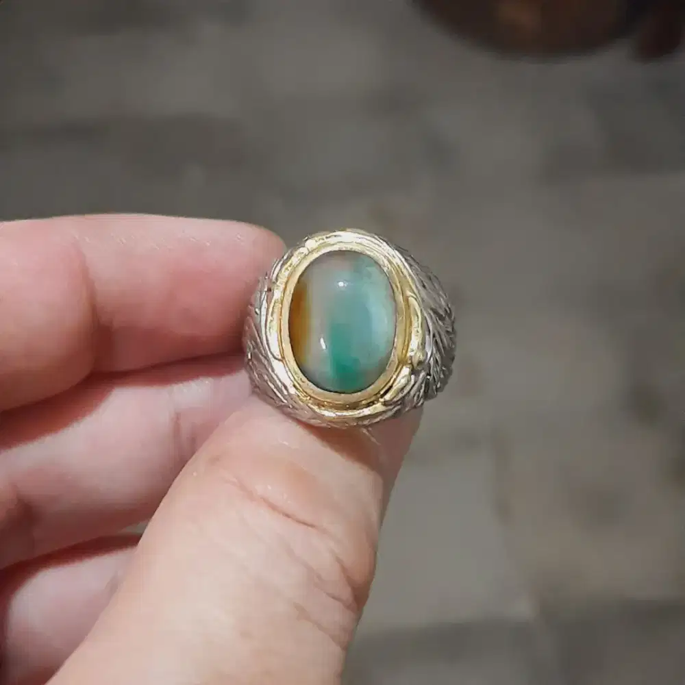 Batu Akik Garut Panca warna