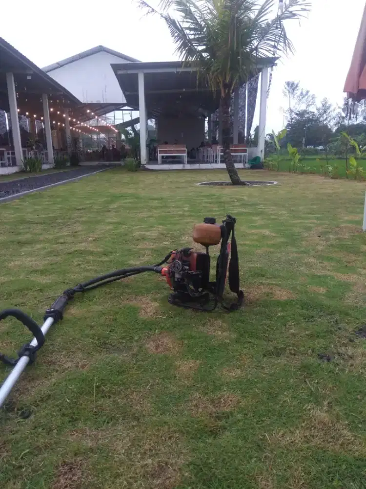 TUKANG JASA POTONG RUMPUT JOGJA