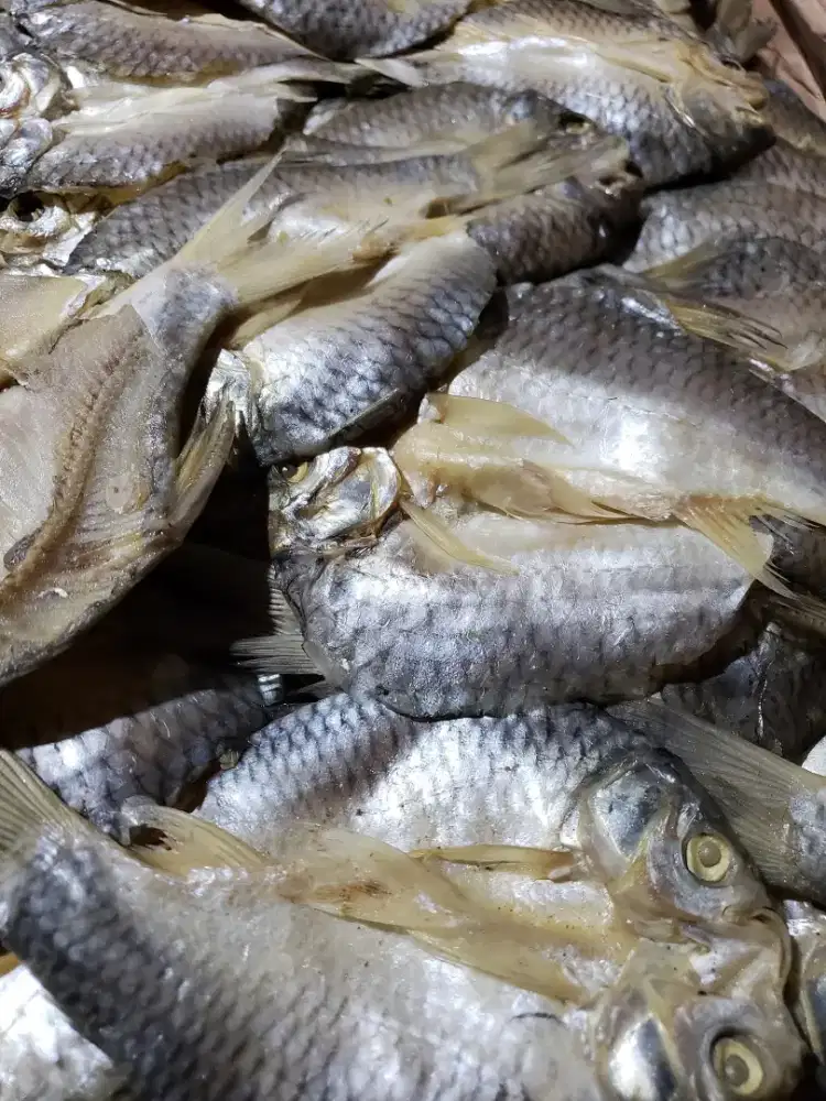 Ikan Asin Tawes ukuran kecil