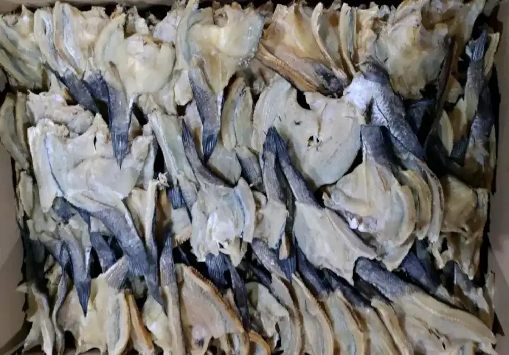 Ikan Gabus Asin ukuran kecil