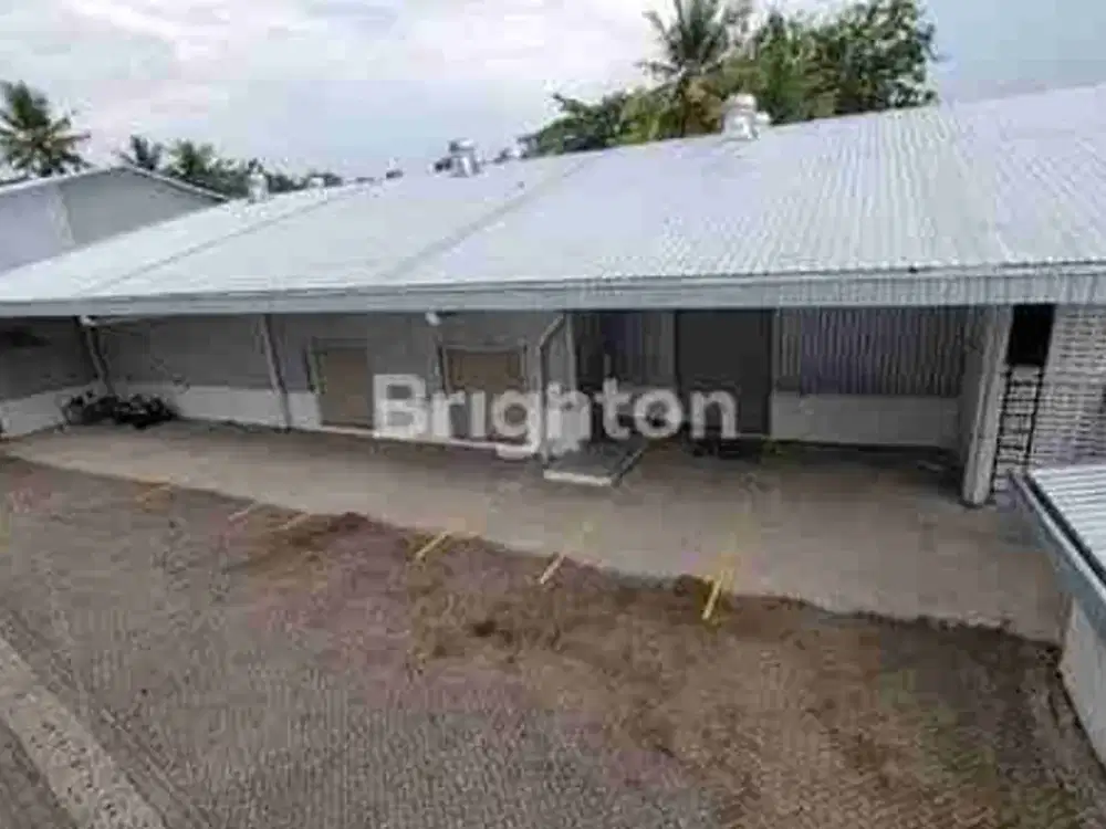 Gedung Bagus Di Gamping Sleman