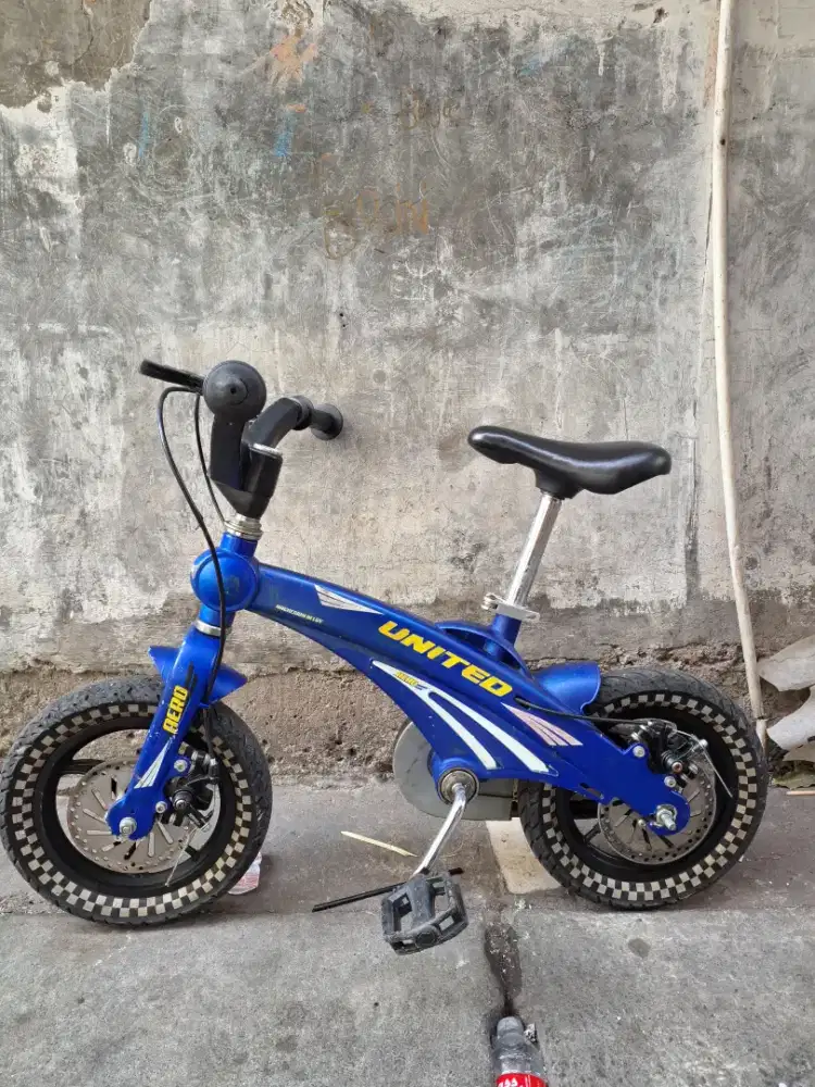 SEPEDA UNITED AERO 12 INC