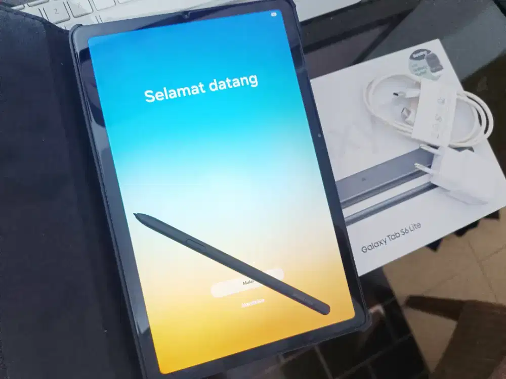 Samsung Tab S6 Lite 2024 SEIN