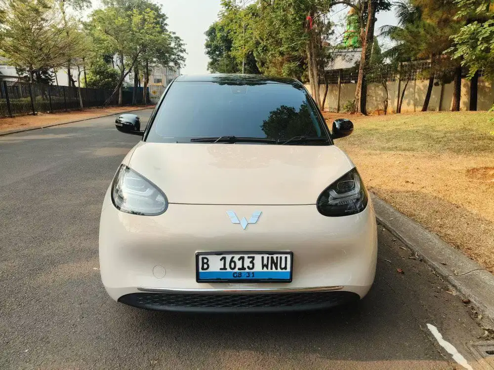 Wuling binguo ev pro range 333km 2024
