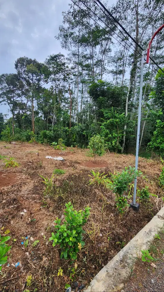 Dijual Tanah Luas Lokasi Bagus Strategis Mijen Semarang