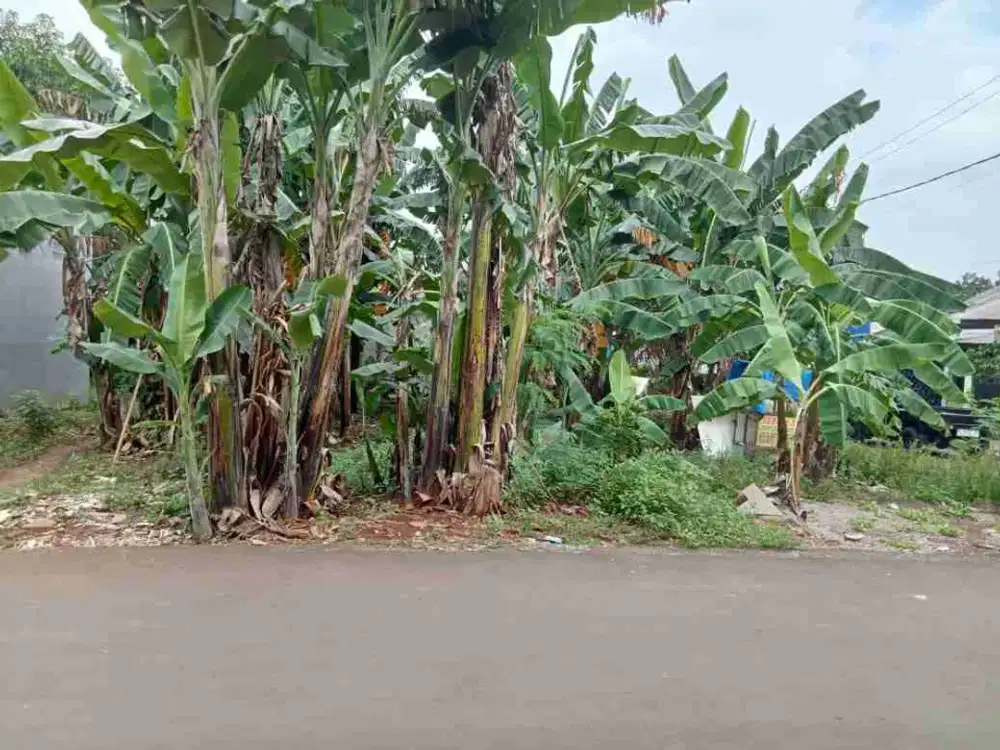 Dijual Lahan/Tanah Subur daerah kranggan Cibubur: