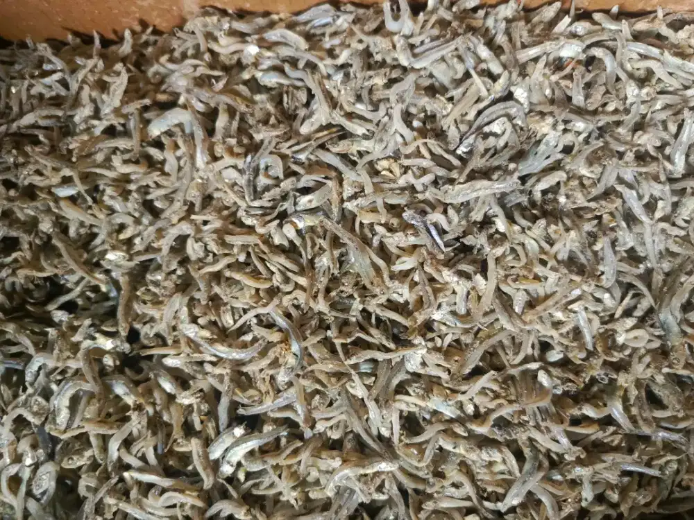 Ikan asin teri tiow