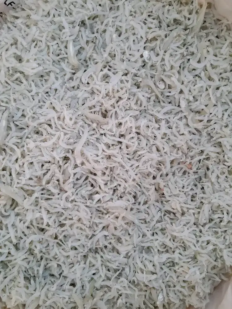 Ikan asin teri medan