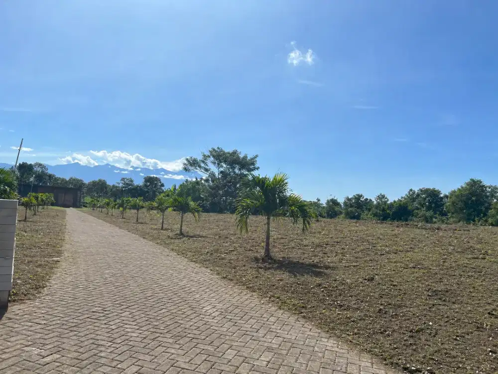 Tanah Malang Bisa Buat Hunian Atau Gudang