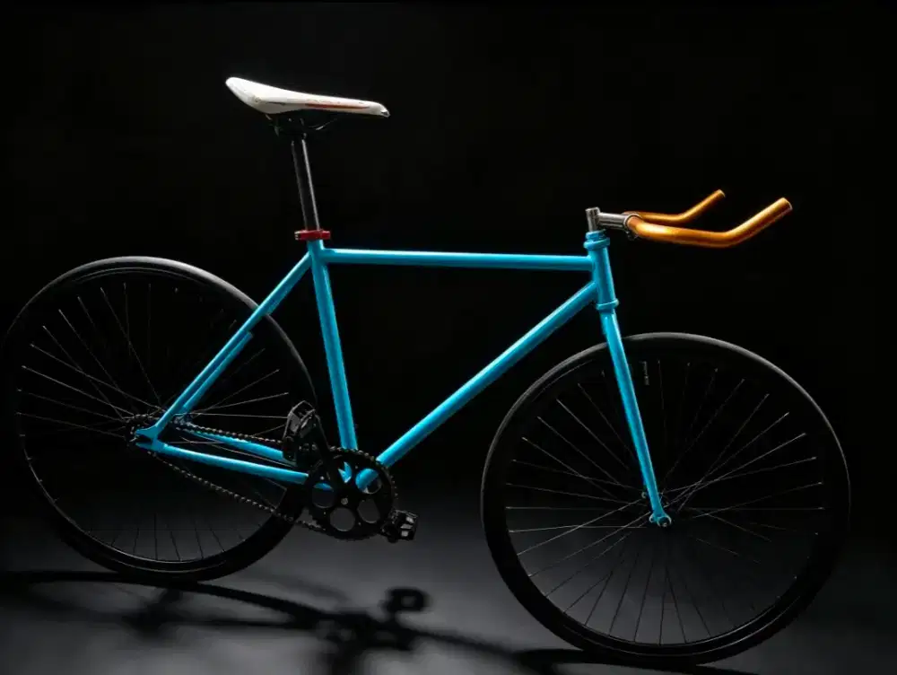 Sepeda fixie doltrap