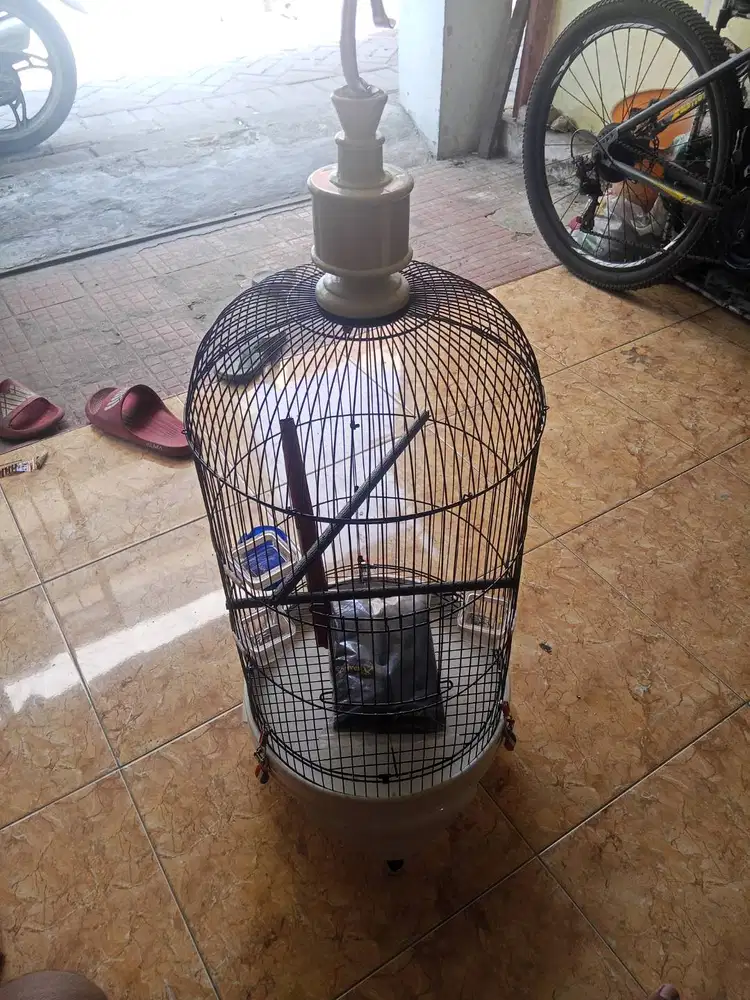 Sangkar lovebird D33