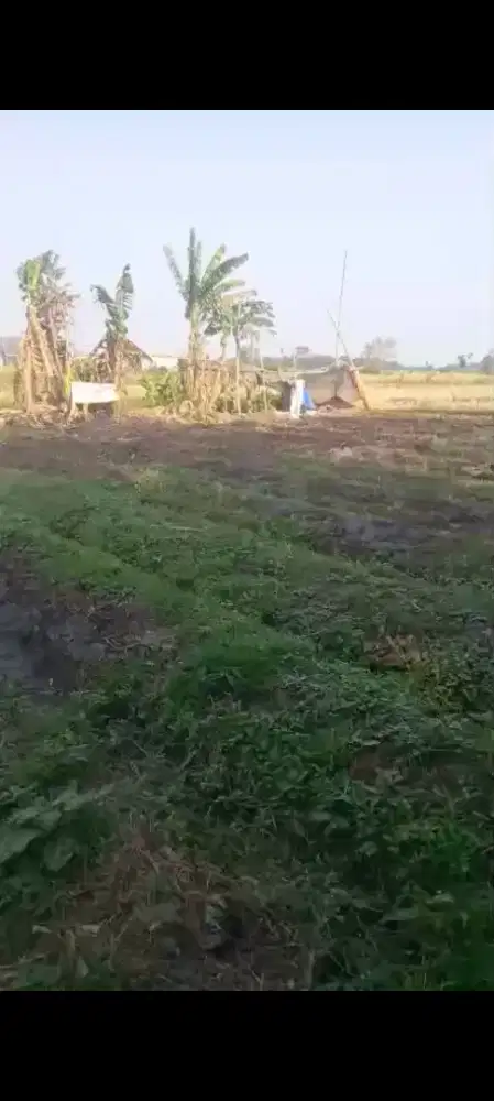 Dijual Tanah Sawah