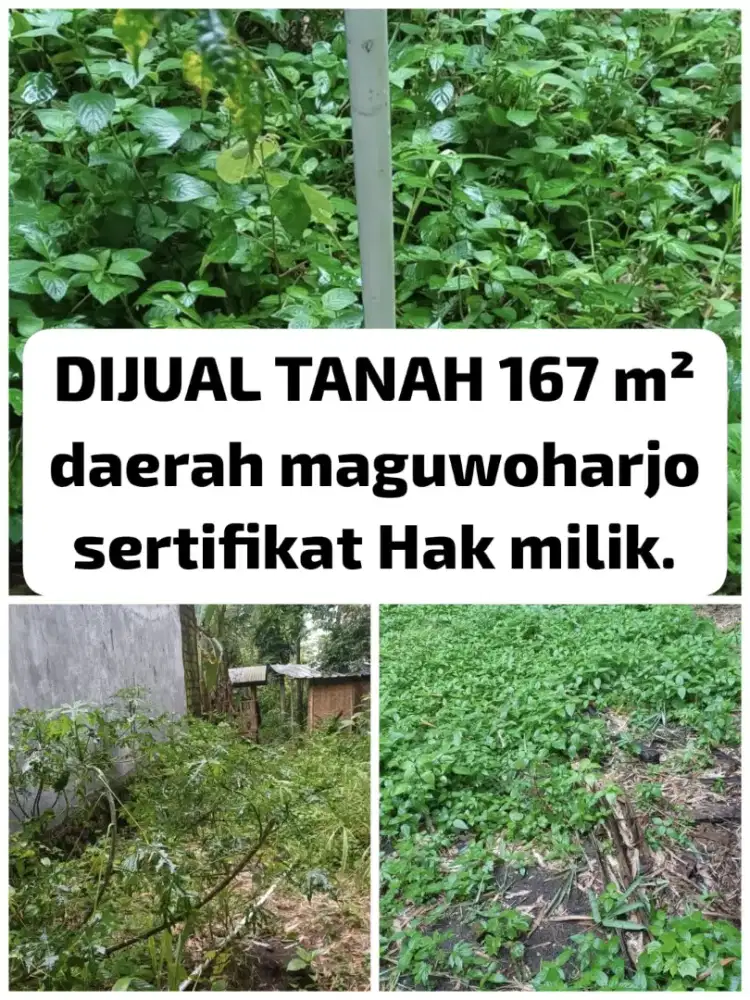 [NEGO] DIJUAL TANAH 167 m² MAGUWOHARJO, SHM, FREE SUMUR BOR