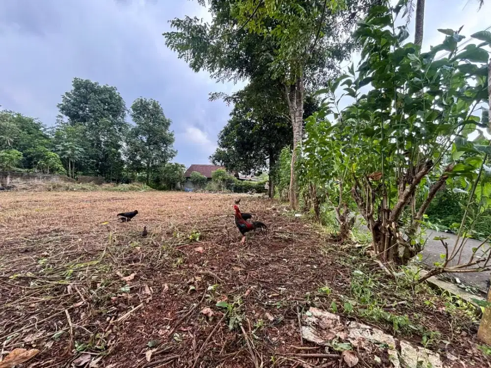 Tanah Murah Legok - SHM 1Jtan/m - 200 Meter Alun Alun - 10 Menit Tol Legok
