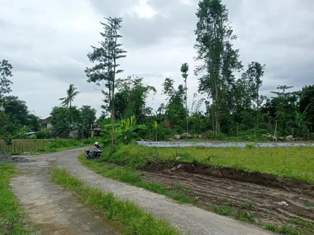 Beli Sekarang Sebelum Naik! Tanah Kavling Ngaglik Dekat UII 2,3 Jt/m² SHM