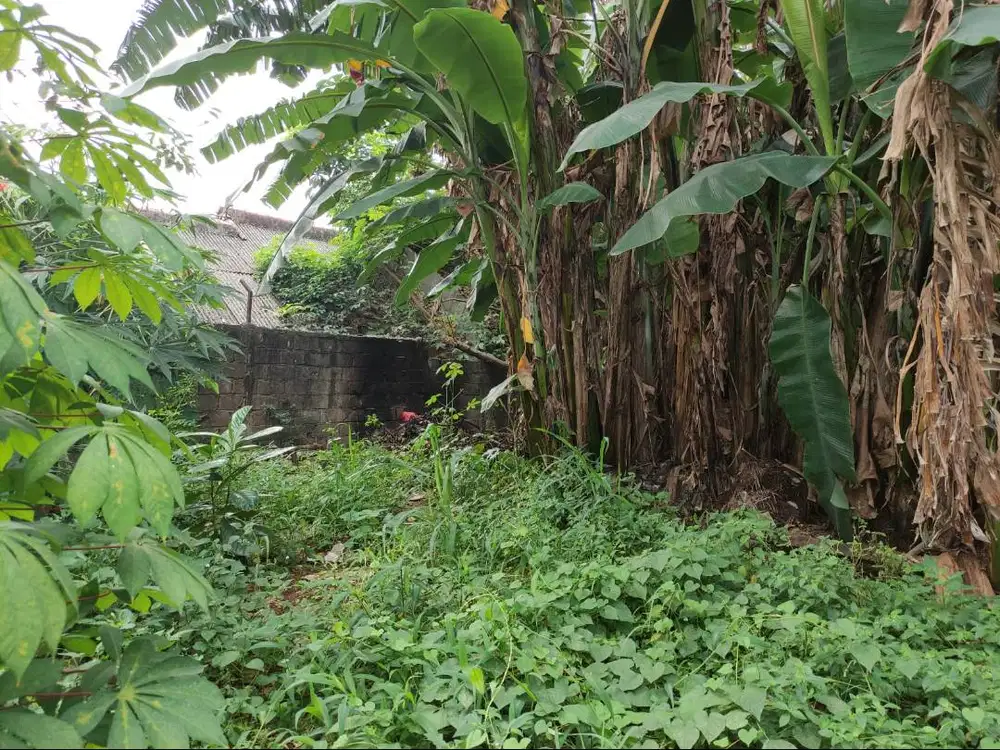 DIJUAL TANAH STRATEGIS Di Samping Tol Luas 208 m² Di Serua Ciputat