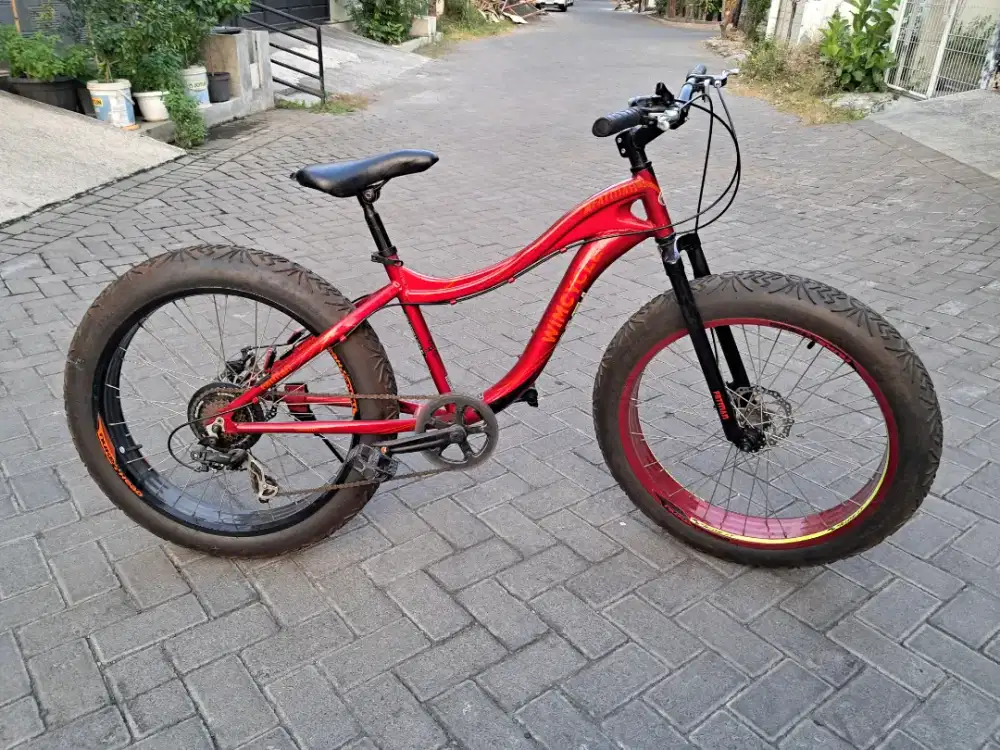 Wimcycle Fatman Tampil Ganteng