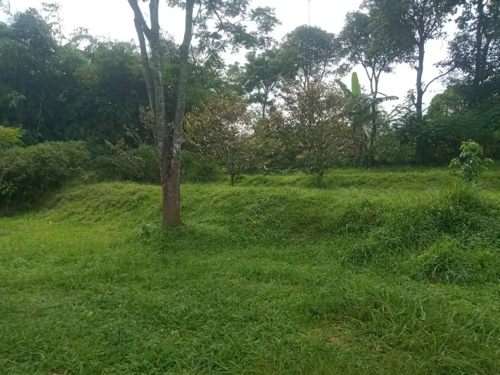 Dijual Tanah di jl. raya cigudeg Kp. Ciahok, Desa cigudeg Kec Cigudeg