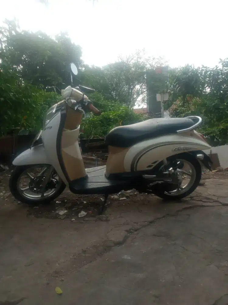 Honda Scoopy rawatan