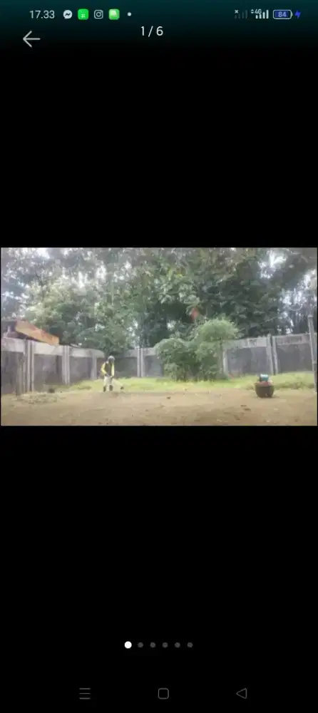 Jasa potong rumput dan tebang pohon sleman