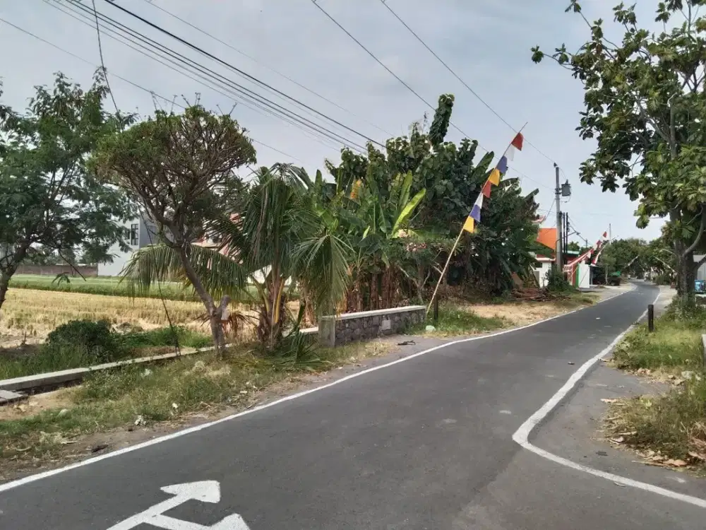 Tanah Pekarangan Kering Siap Bangun
