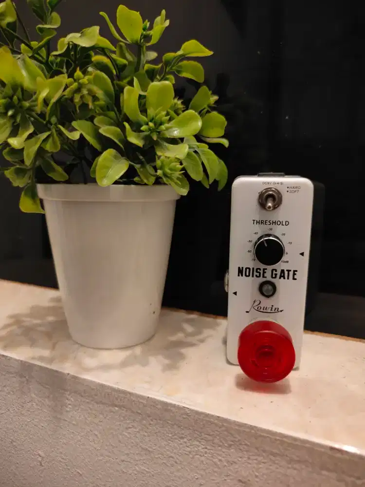 Rowin Noise Gate Guitar Effect