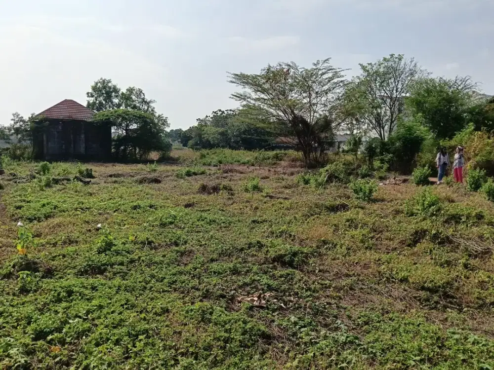 TANAH SHM DENGAN HARGA SUPER MURAH DI KOTA CIREBON!