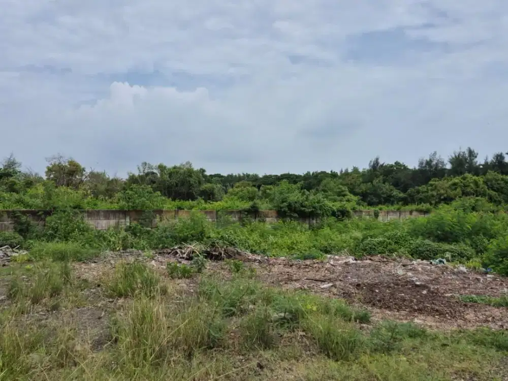 EMA424 DIJUAL TANAH BESAR AREA KOMERSIAL SHM DI RAYA PANTAI KENJERAN