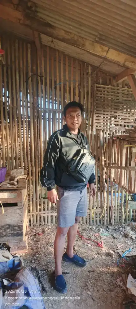 Supplier ayam kampung