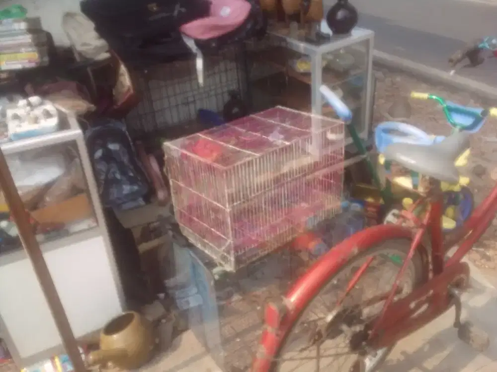 Kandang kucing. Kandang burung. 3 unit borongan
