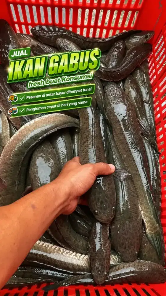 Layanan bahan olahan segar