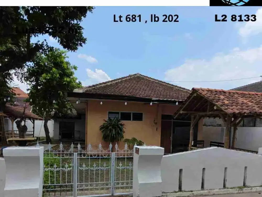Rumah luas dan murah di sumbersari Jember