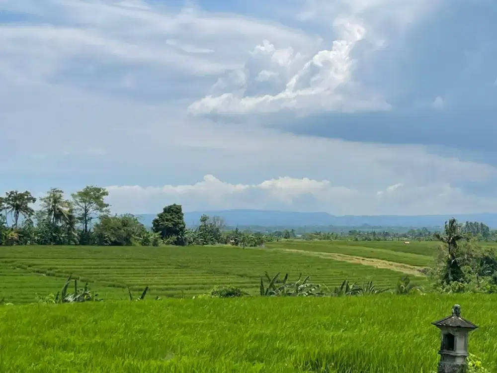Murah! Cocok Untuk Investasi Tanah Sawah Luas 18,4 Are Dekat Pantai Beraban, Tabanan