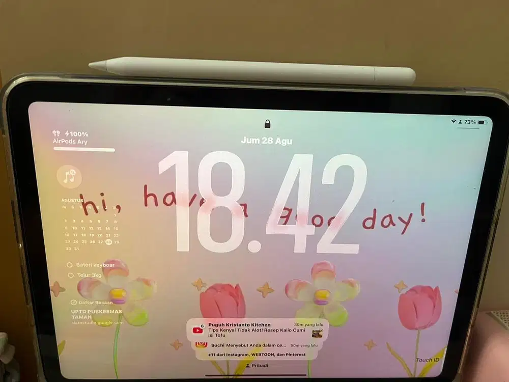 Apple pencil (USB C)