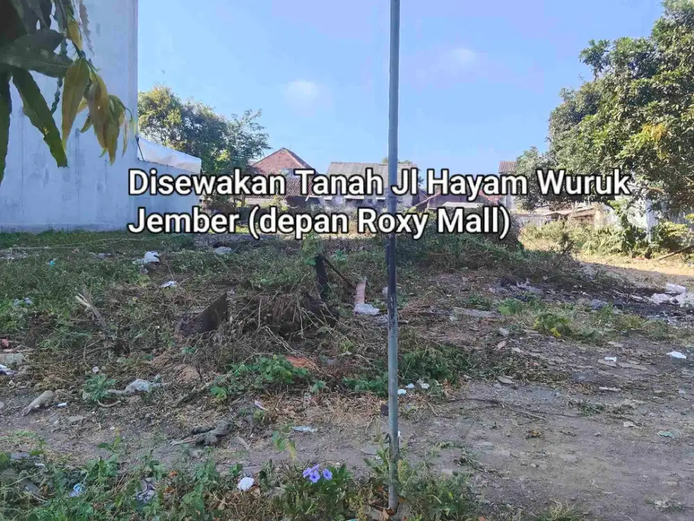 Disewakan Tanah pinggir jalan propinsi Jember