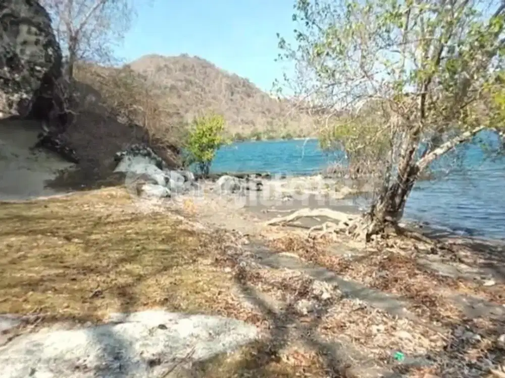 TANAH BEACHFRONT LABUHAN KURIS SUMBAWA BESAR