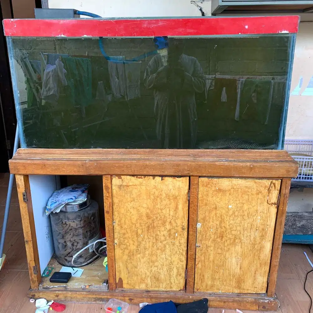 Aquarium Akuarium Besar