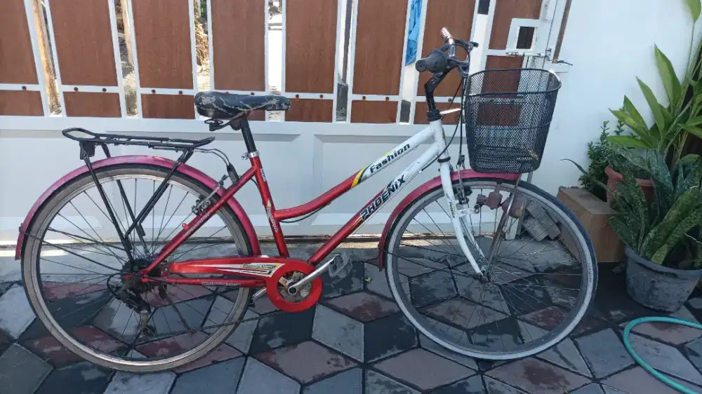 Sepeda keranjang phoenix siap funbike