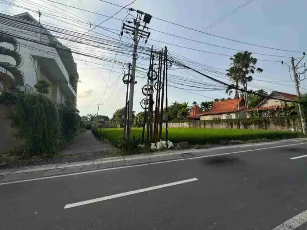 Tanah berawa canggu