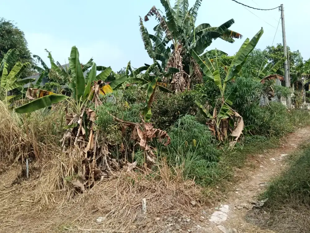 Dijual Tanah lokasi pondok manggis,Bojong baru kecamatan Bojong gede
