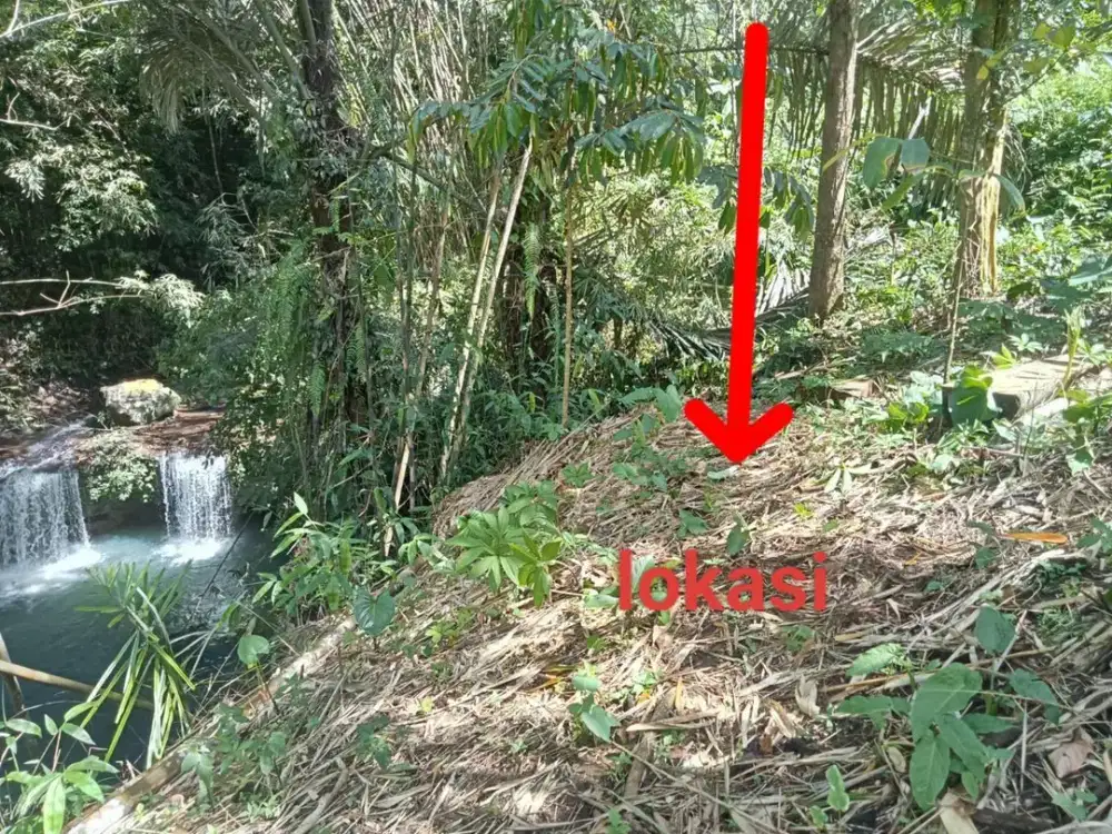 Tanah Langka Tepi Air Terjun Kawasan Wisata Gunung Salak Selemadeg Tabanan Bali