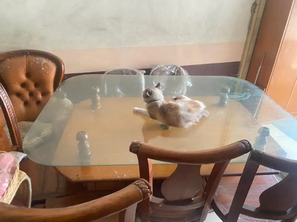 Meja makan solid kokoh kursi 6