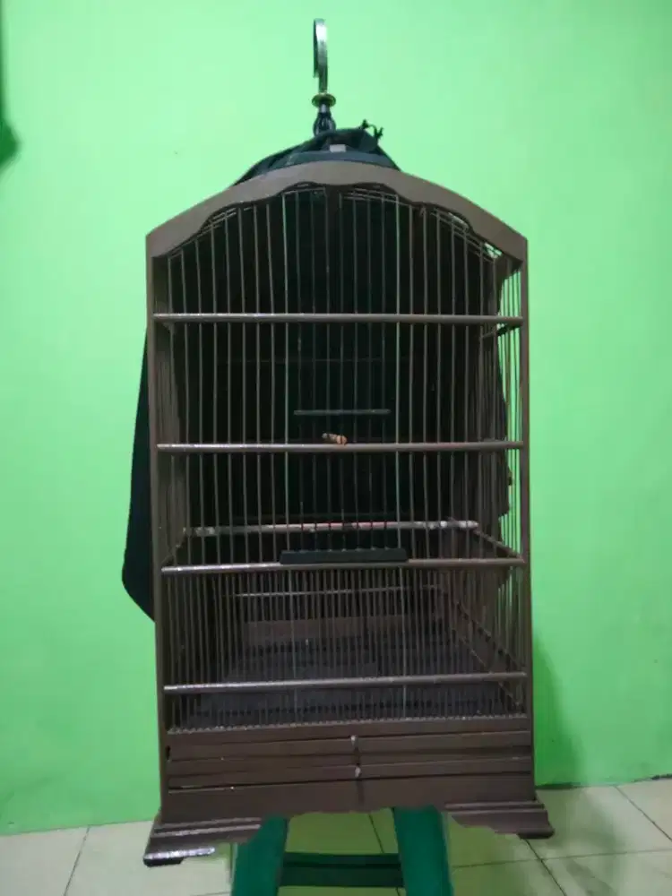 Sangkar kosan 40×40