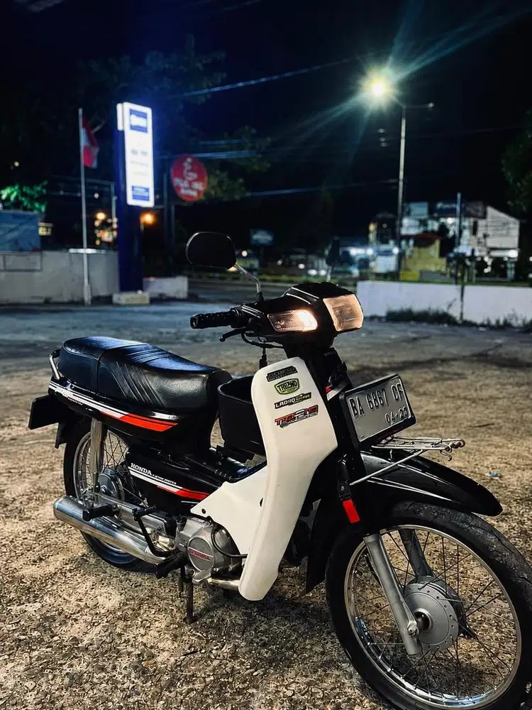 Astrea bulus original