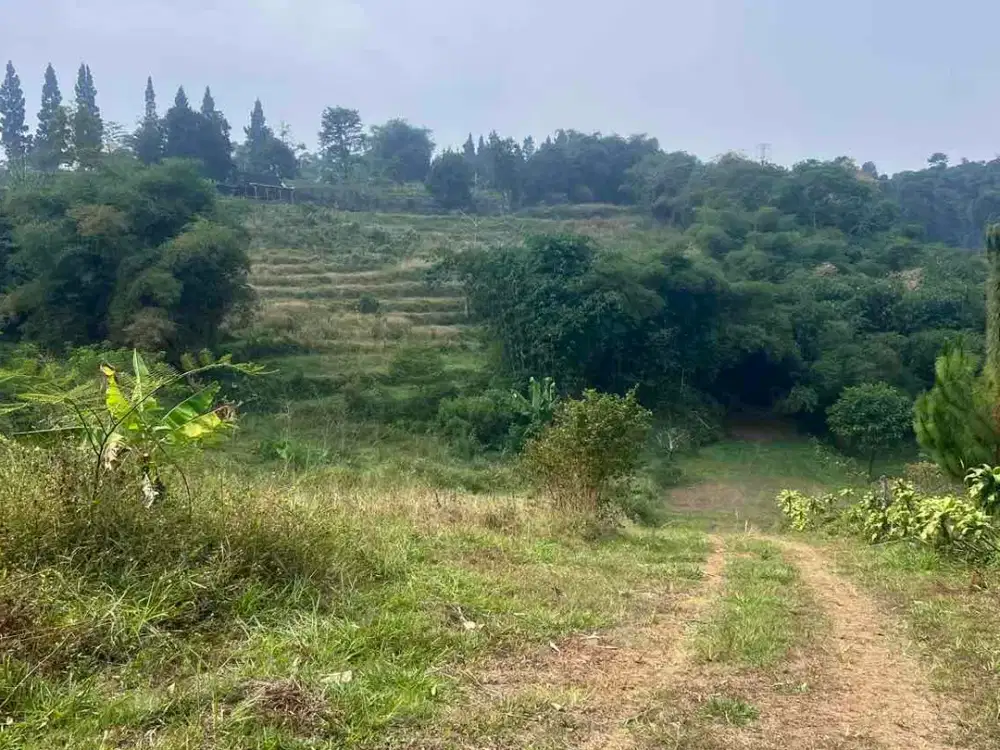 DIJUAL TANAH MURAH PUNCAK