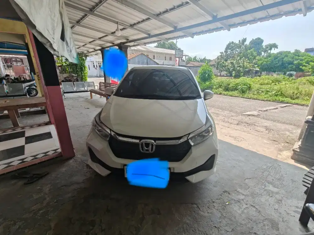 Brio e satya matic