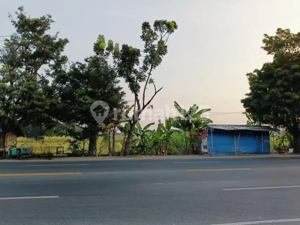 Tanah Strategis Pinggir Jalan Raya Daerah Komersial Colomadu