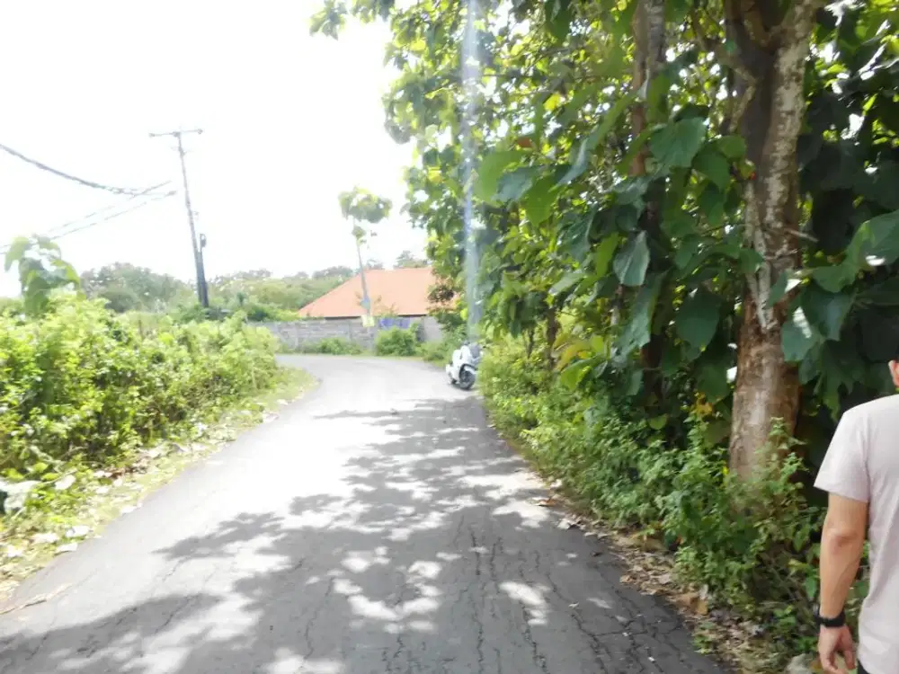 Tanah 23 Are di Jalan Utama Pantai Balangan Cocok Untuk Villa